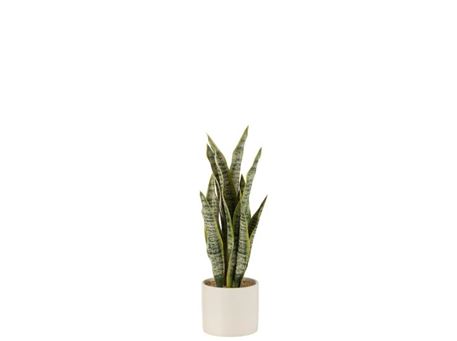 33021 - Succulent pvc plant with pot 